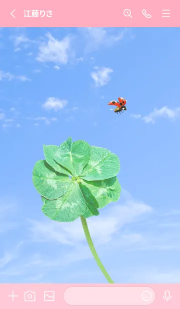 [LINE着せ替え] 七つ葉のクローバーとテントウムシ #13の画像2