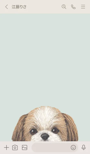 [LINE着せ替え] ICON DOG - シーズー - PASTEL GR/03の画像2