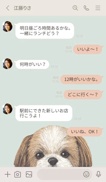 [LINE着せ替え] ICON DOG - シーズー - PASTEL GR/03の画像3