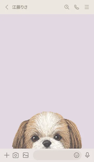 [LINE着せ替え] ICON DOG - シーズー - PASTEL PL/03の画像2