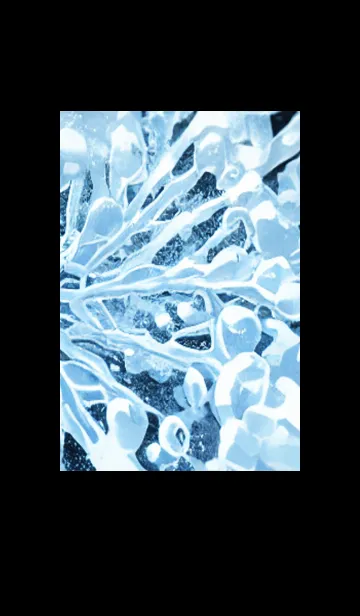 [LINE着せ替え] 雪の結晶#ab_18。の画像1