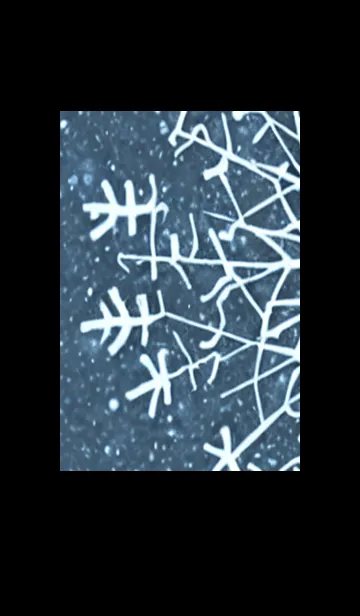 [LINE着せ替え] 雪の結晶#ab_2。の画像1
