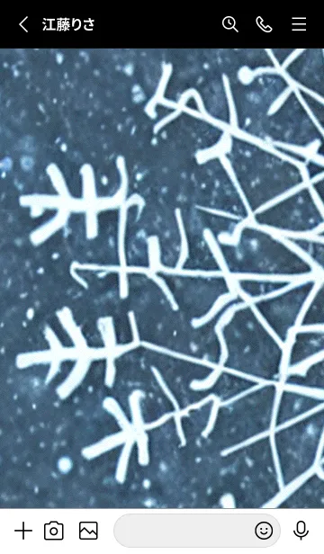 [LINE着せ替え] 雪の結晶#ab_2。の画像2