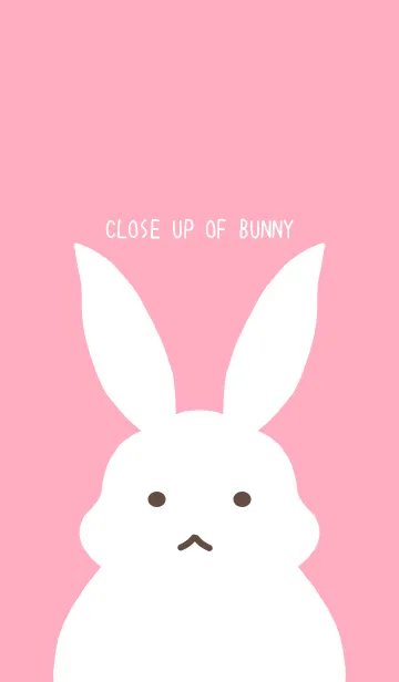 [LINE着せ替え] シンプルバニーの着せかえ/ピンクの画像1