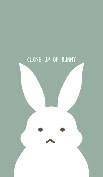 [LINE着せ替え] シンプルバニーの着せかえ/くすみグリーンの画像1