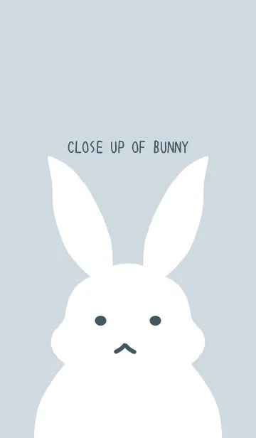 [LINE着せ替え] シンプルバニーの着せかえ/ブルーグレイの画像1