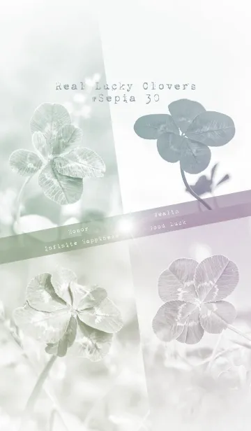 [LINE着せ替え] Real Lucky Clovers #sepia 30の画像1
