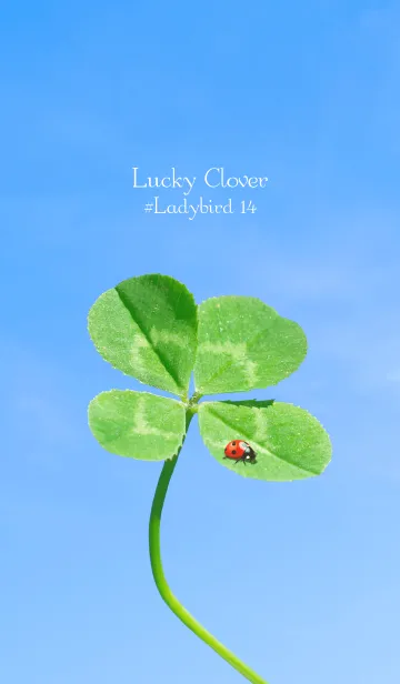 [LINE着せ替え] 四つ葉のクローバーとテントウムシ #14の画像1