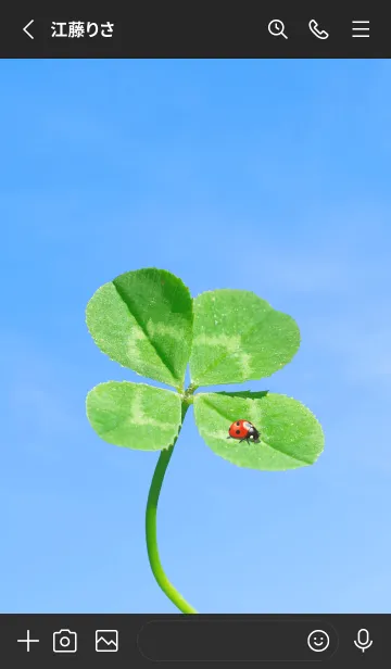 [LINE着せ替え] 四つ葉のクローバーとテントウムシ #14の画像2
