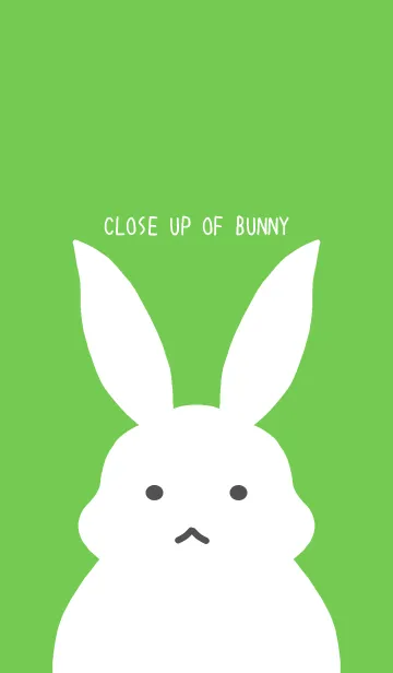 [LINE着せ替え] シンプルバニー/グリーン/ベージュの画像1