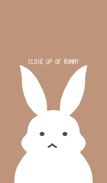 [LINE着せ替え] シンプルバニーの着せかえ/ブラウンの画像1