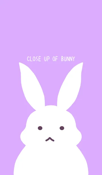 [LINE着せ替え] シンプルバニーの着せかえ/パープルの画像1