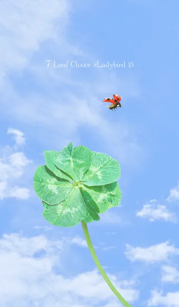 [LINE着せ替え] 七つ葉のクローバーとテントウムシ #15の画像1