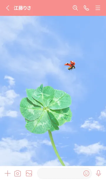 [LINE着せ替え] 七つ葉のクローバーとテントウムシ #15の画像2