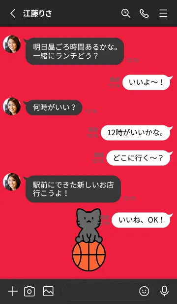 [LINE着せ替え] 黒猫とバスケ レッドの画像3