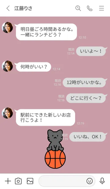 [LINE着せ替え] 黒猫とバスケ くすみピンクの画像3