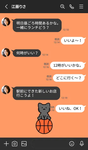 [LINE着せ替え] 黒猫とバスケ オレンジの画像3