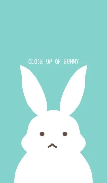 [LINE着せ替え] シンプルバニーの着せかえ/ミントグリーンの画像1