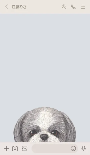 [LINE着せ替え] ICON DOG - シーズー - PASTEL BL/05の画像2