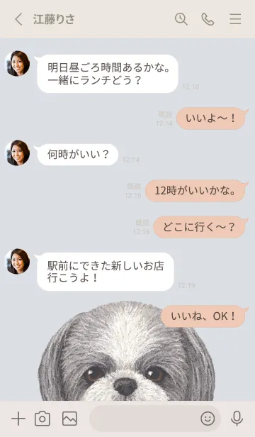 [LINE着せ替え] ICON DOG - シーズー - PASTEL BL/05の画像3