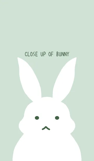 [LINE着せ替え] シンプルバニーの着せかえ/グリーングレイの画像1