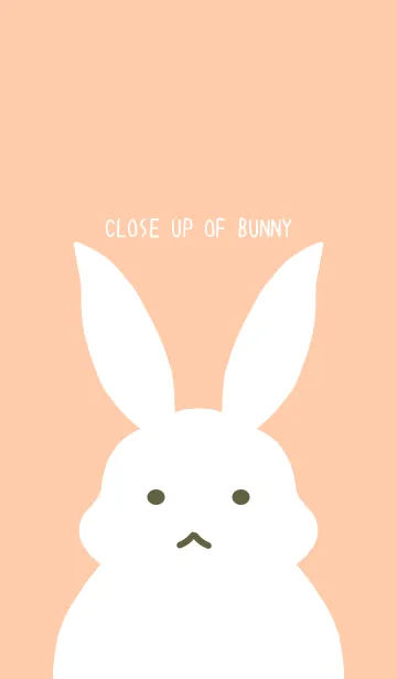 [LINE着せ替え] シンプルバニーの着せかえ/ベージュピンクの画像1