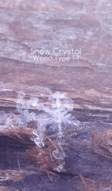 [LINE着せ替え] Snow Crystal Wood Type 1-1の画像1