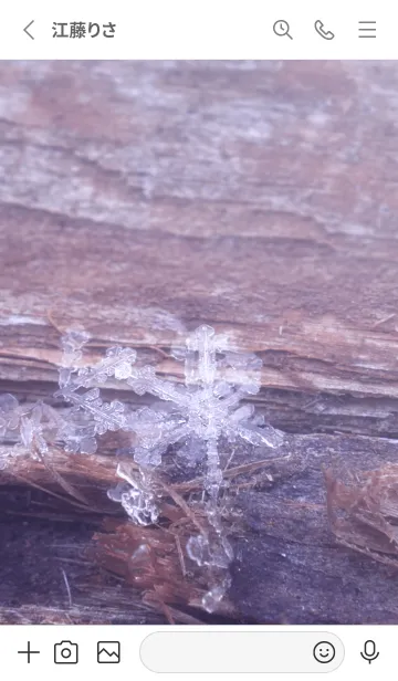 [LINE着せ替え] Snow Crystal Wood Type 1-1の画像2