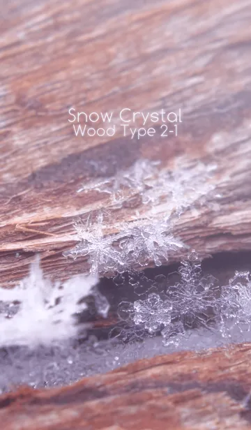 [LINE着せ替え] Snow Crystal Wood Type 2-1の画像1