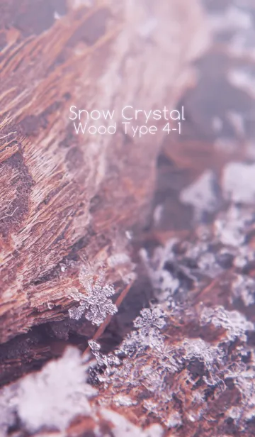 [LINE着せ替え] Snow Crystal Wood Type 4-1の画像1