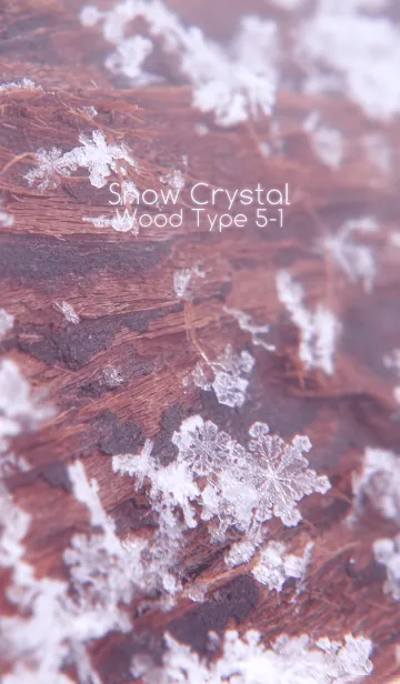 [LINE着せ替え] Snow Crystal Wood Type 5-1の画像1