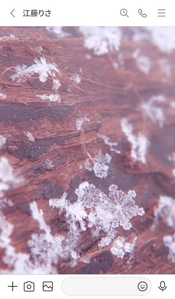 [LINE着せ替え] Snow Crystal Wood Type 5-1の画像2