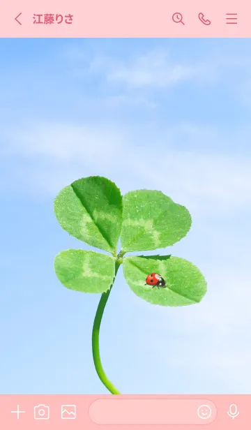 [LINE着せ替え] 四つ葉のクローバーとテントウムシ #16の画像2