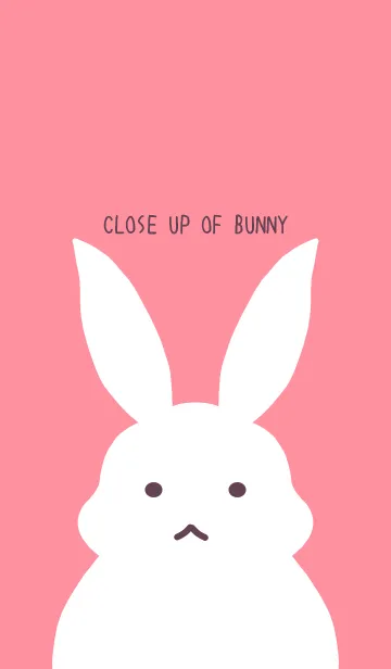 [LINE着せ替え] シンプルバニーの着せかえ/コーラルピンクの画像1