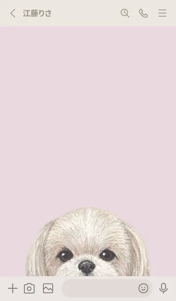 [LINE着せ替え] ICON DOG - シーズー - PASTEL PK/06の画像2