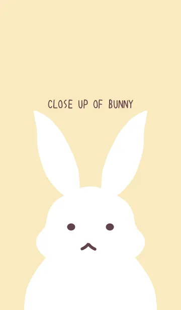 [LINE着せ替え] シンプルバニー/イエローベージュの画像1