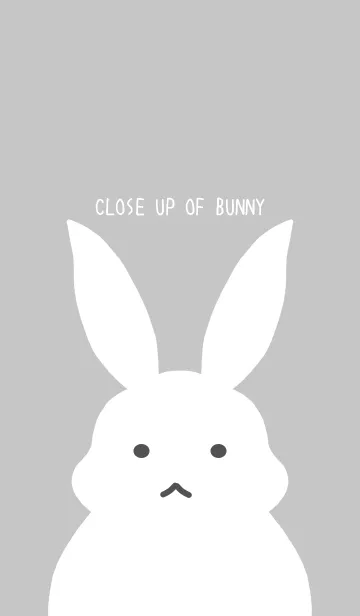 [LINE着せ替え] シンプルバニーの着せかえ/グレイの画像1