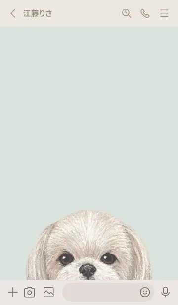 [LINE着せ替え] ICON DOG - シーズー - PASTEL GR/06の画像2