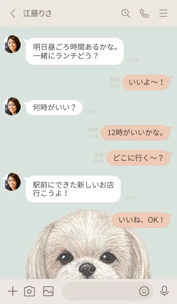 [LINE着せ替え] ICON DOG - シーズー - PASTEL GR/06の画像3