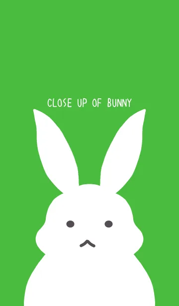 [LINE着せ替え] シンプルバニーの着せかえ/グリーンの画像1