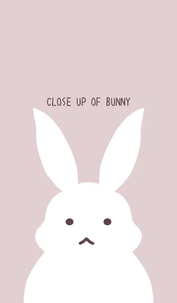 [LINE着せ替え] シンプルバニーの着せかえ/ピンクグレイの画像1