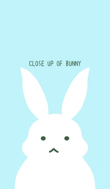 [LINE着せ替え] シンプルバニーの着せかえ/スカイブルーの画像1