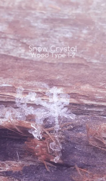 [LINE着せ替え] Snow Crystal Wood Type 1-2の画像1