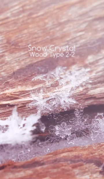 [LINE着せ替え] Snow Crystal Wood Type 2-2の画像1