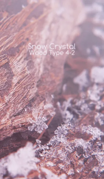 [LINE着せ替え] Snow Crystal Wood Type 4-2の画像1