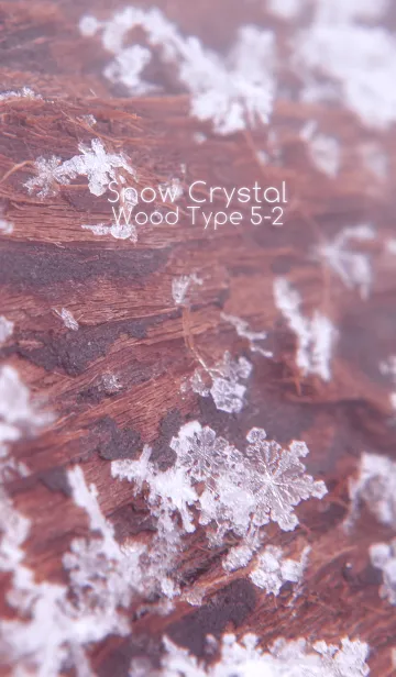 [LINE着せ替え] Snow Crystal Wood Type 5-2の画像1