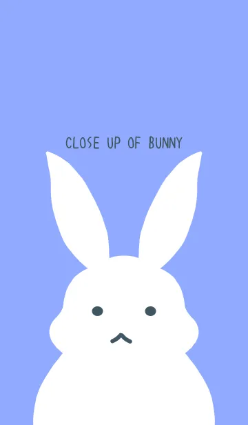 [LINE着せ替え] シンプルバニー/ヒヤシンスブルーの画像1