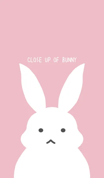 [LINE着せ替え] シンプルバニーの着せかえ/ローズピンクの画像1