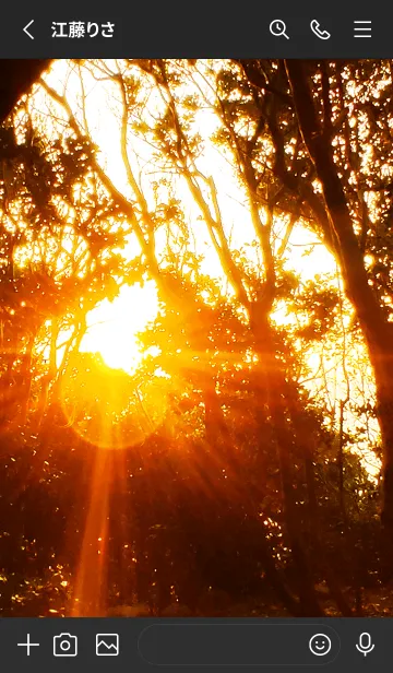 [LINE着せ替え] 夕日の木漏れ日 Sunbeams at Sunset4の画像2