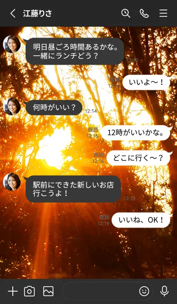 [LINE着せ替え] 夕日の木漏れ日 Sunbeams at Sunset4の画像3